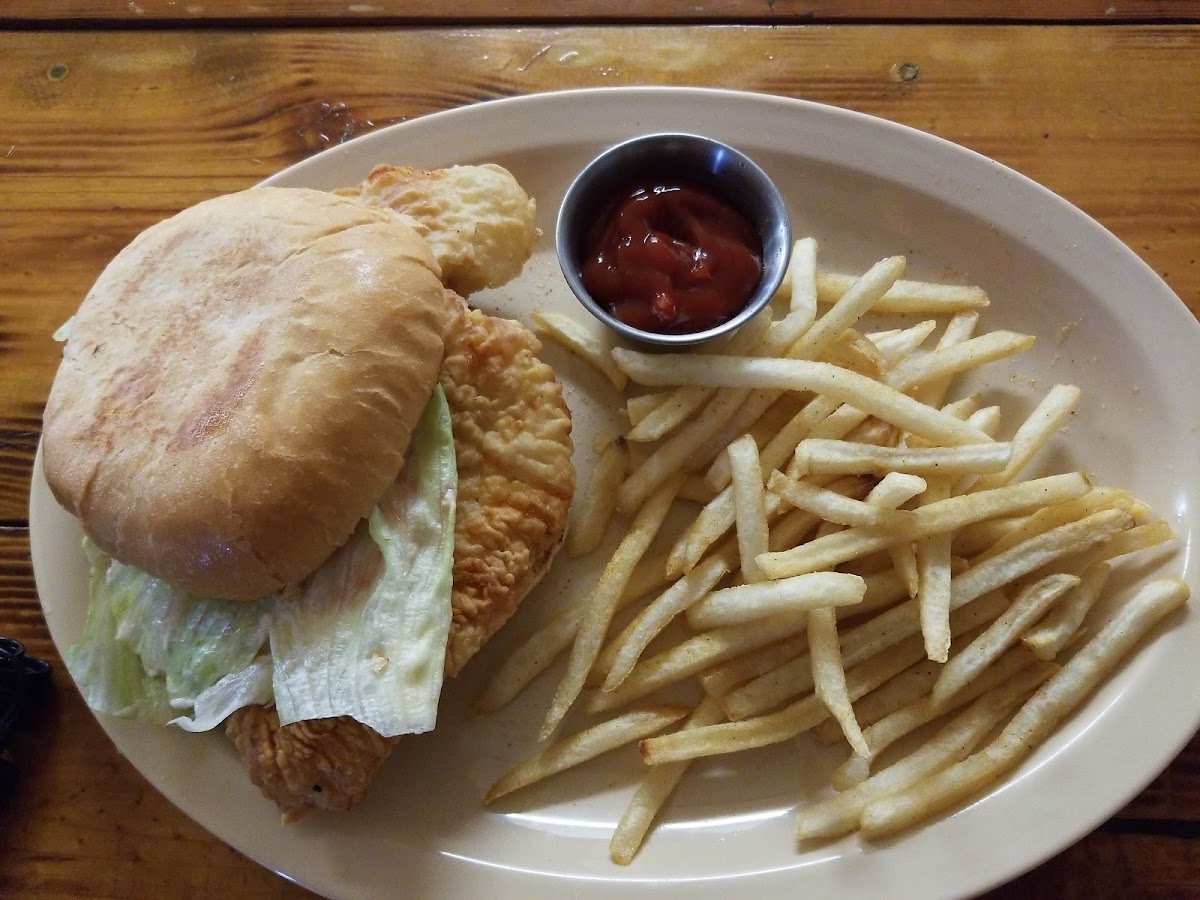 The Family Taco Photos 2